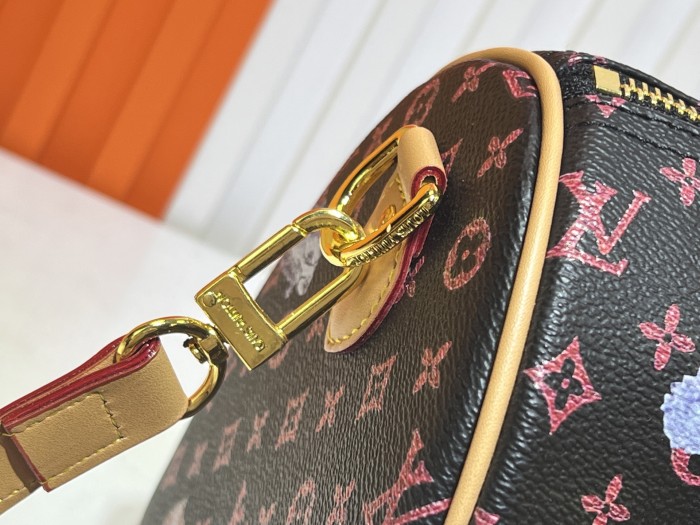 LV bags
