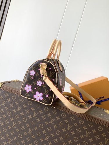 LV bags
