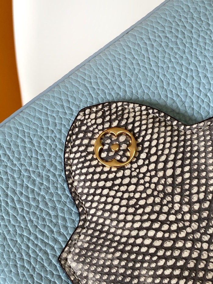 LV bags