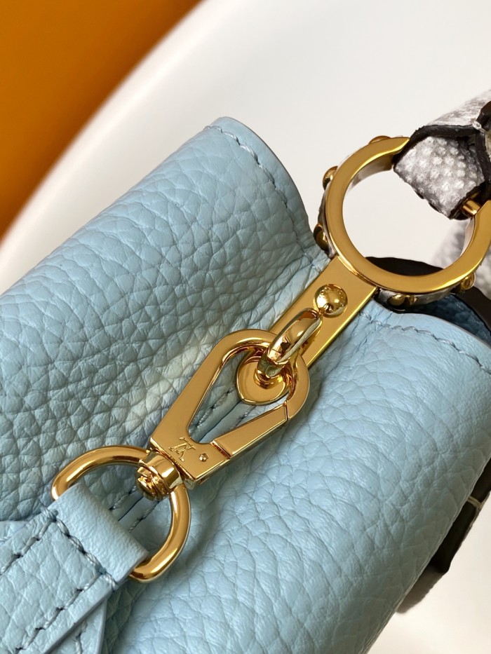 LV bags