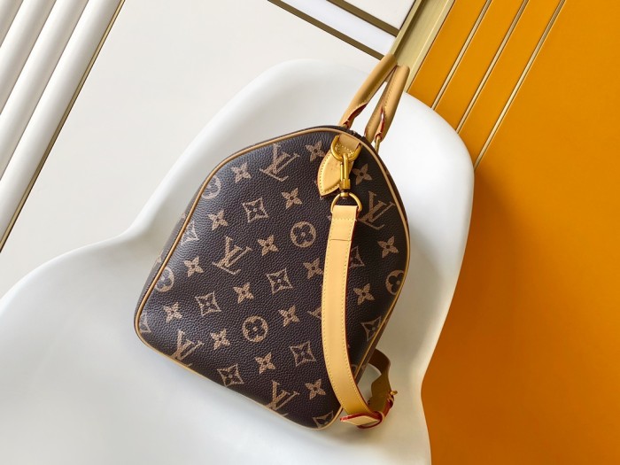 LV bags