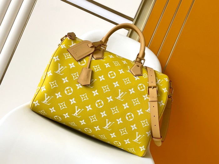 LV bags