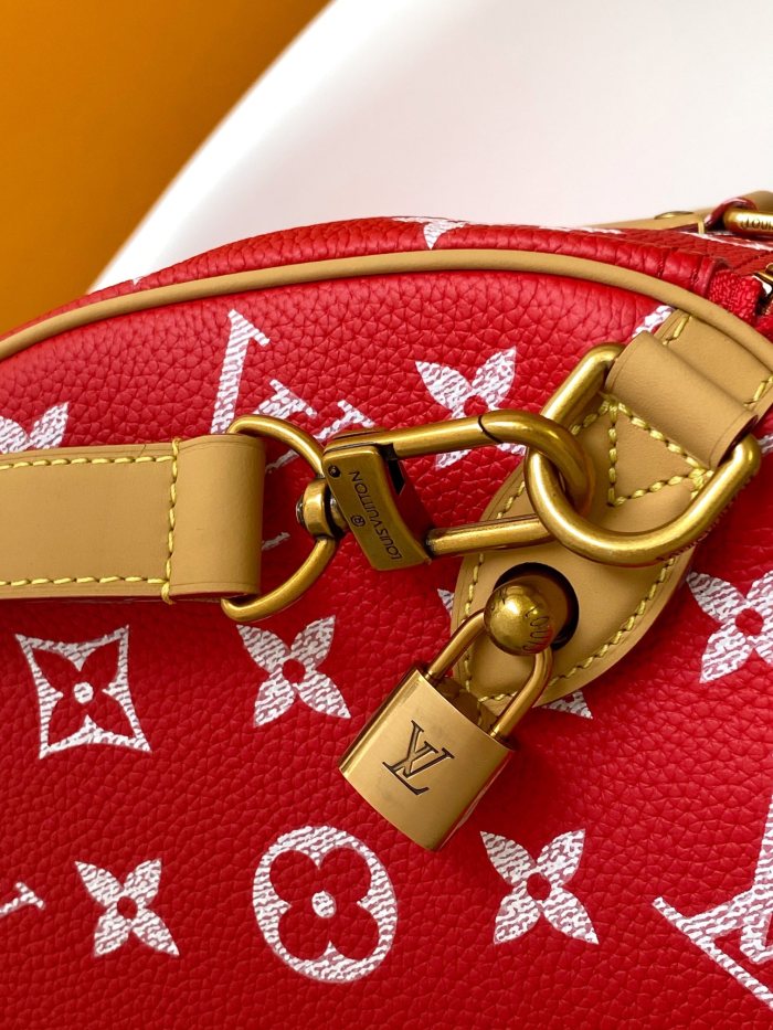 LV bags