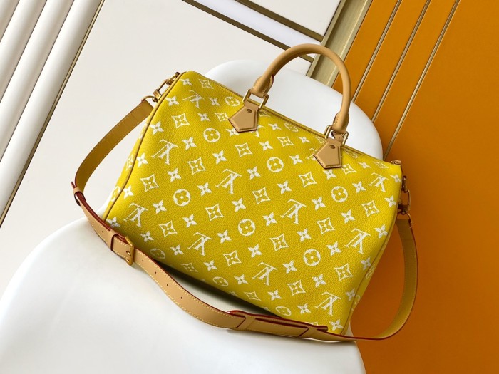 LV bags