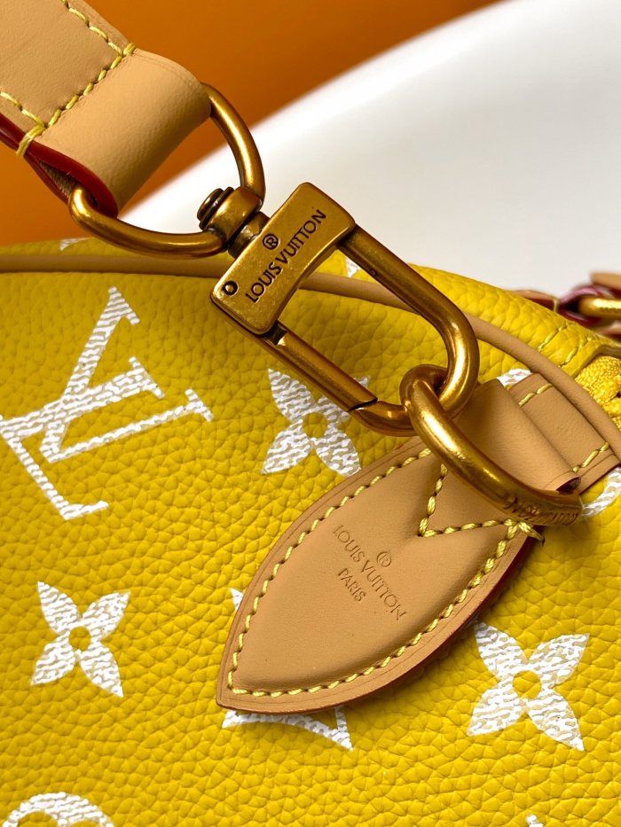 LV bags
