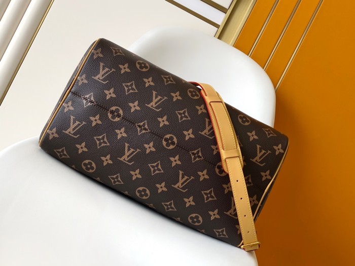 LV bags