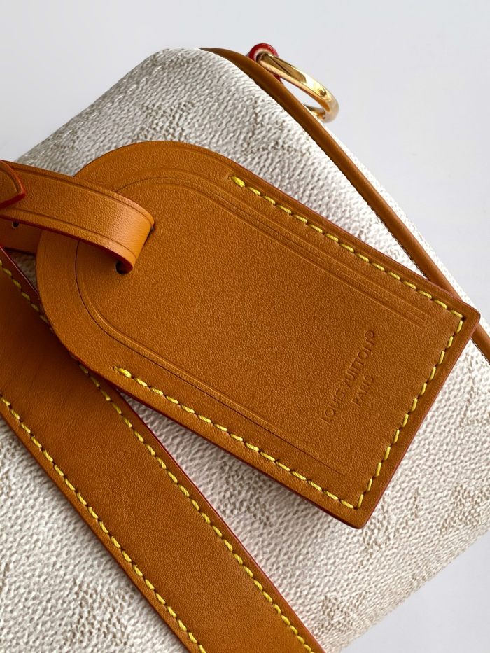 LV bags