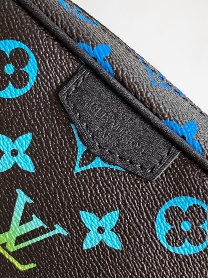 LV bags