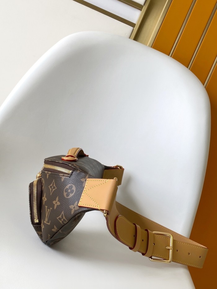 LV bags