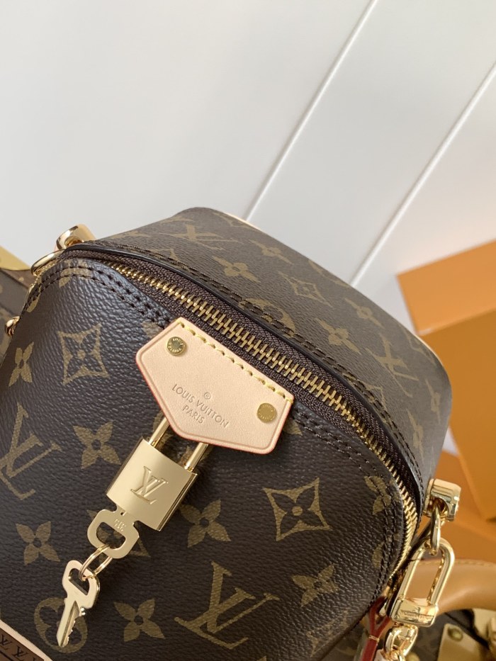LV bags