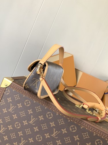 LV bags