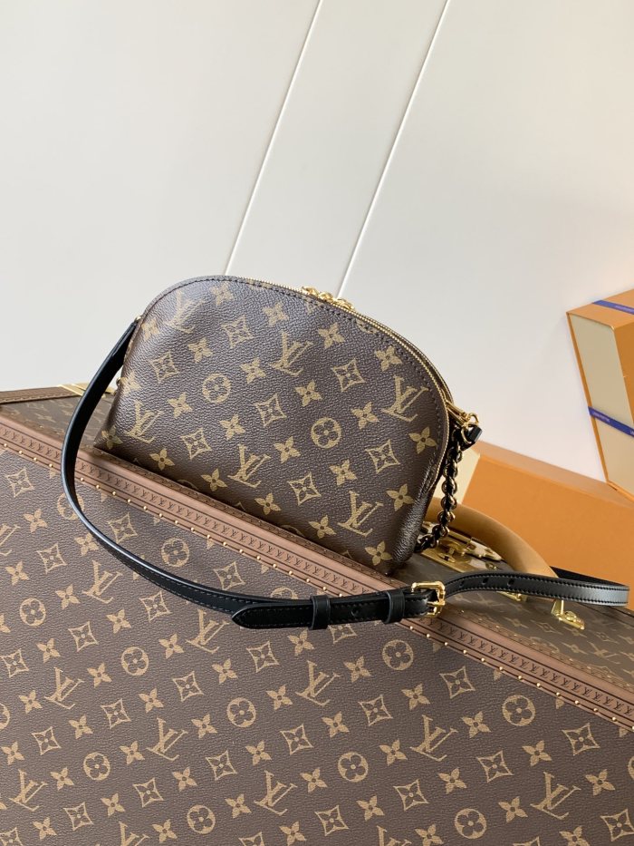 LV bags