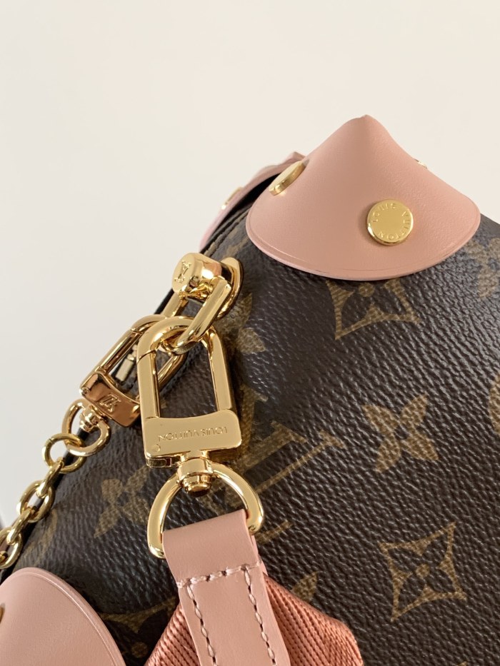 LV bags