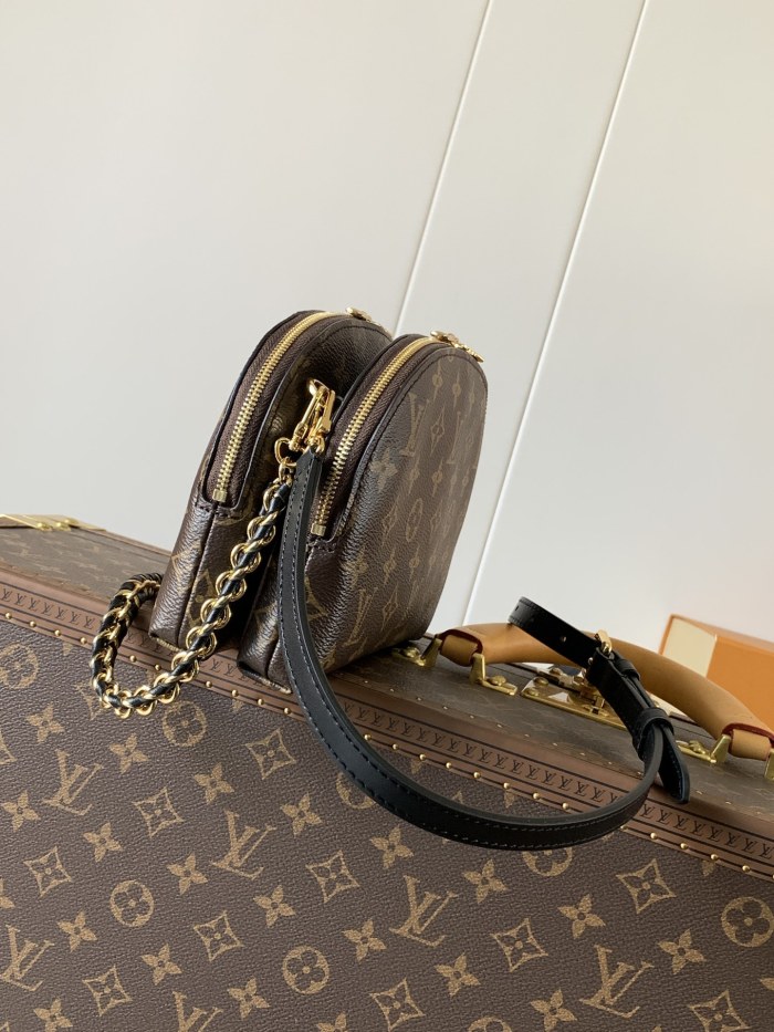 LV bags