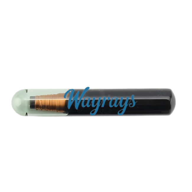 Original 4D60 longer glass transponder chip