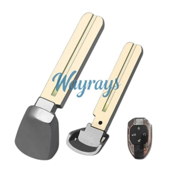 For Trumpchi grey emergency key blade