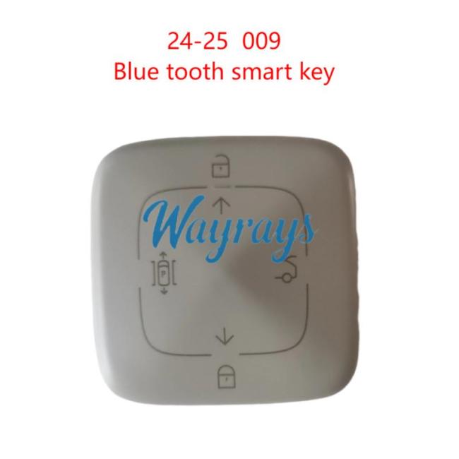 Original for Geely 2024-2025 Zeekr 009 blue tooth smart remote key