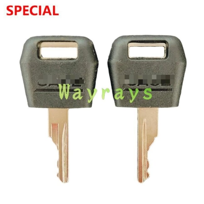 For Case loader D250 sweeper key with OEM logo place,the picture show the front and the back of the key