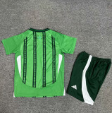 2024 Northern Ireland Home Fans Version Kids Soccer Jersey