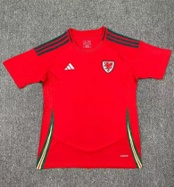 2024 Wales European Cup Home Fans Version Soccer Jersey