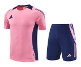 2024 AD Pink Training Short Suit