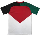 2024 Palestine Fans Version Soccer Jersey