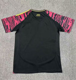 2024 Peru Away Fans Soccer Jersey