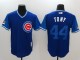 2024 MLB Chicago Cubs New Pattern Jersey