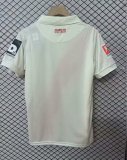 25-26 Mainz 120th Commemorative Edition Fans Soccer Jersey