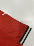 25-26 Portugal Home Player Version Soccer Jersey