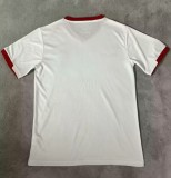 2024 Palestine Fans Version Soccer Jersey