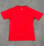 2024 Wales European Cup Home Fans Version Soccer Jersey