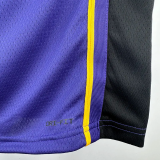 22-23 LAKERS JAMES JR. #9 Purple Top Quality Hot Pressing NBA Jersey (Trapeze Edition)