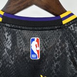 2024 LAKERS Top Quality Hot Pressing Kids NBA Jersey