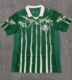 25-26 Palmeiras Special Edition Fans Soccer Jersey