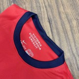 2012-2013 ARS Home Retro Soccer Jersey