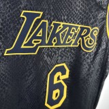 2024 LAKERS JAMES #6Top Quality Hot Pressing Kids NBA Jersey