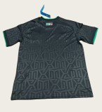 25-26 Mexico Special Edition Fans Soccer Jersey
