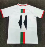 2023 Palestine Fans Version Soccer Jersey