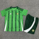 2024 Northern Ireland Home Fans Version Kids Soccer Jersey