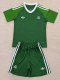 25-26 Argentina Green GoalKeeper  Adult Suit