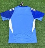 25-26 Chivas Blue GoalKeeper Soccer Jersey