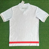 25-26 Monaco Home Fans Soccer Jersey 1:1 Thai Quality