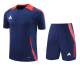 2024 AD Royal blue Training Short Suit