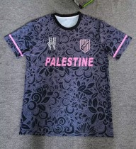 25-26 Palestine Black Special Edition Fans Soccer Jersey
