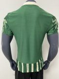 25-26 Palmeiras Special Edition Player Version Soccer Jersey