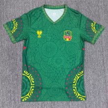 25-26 Mali Green Special Edition Fans Soccer Jersey