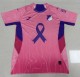 25-26 Hoffenheim Pink Special Edition Fans Soccer Jersey