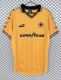 1998-1999 Wolves Home Retro Soccer Jersey