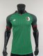 2026 Algeria Away Player Version Soccer Jersey